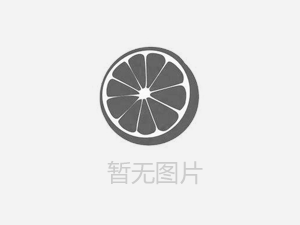 【人人講安全，個(gè)個(gè)會(huì)應(yīng)急——暢通生命通道 】河南鴻宸積極參加安陽市2024年“安全宣傳咨詢?nèi)铡被顒?dòng)